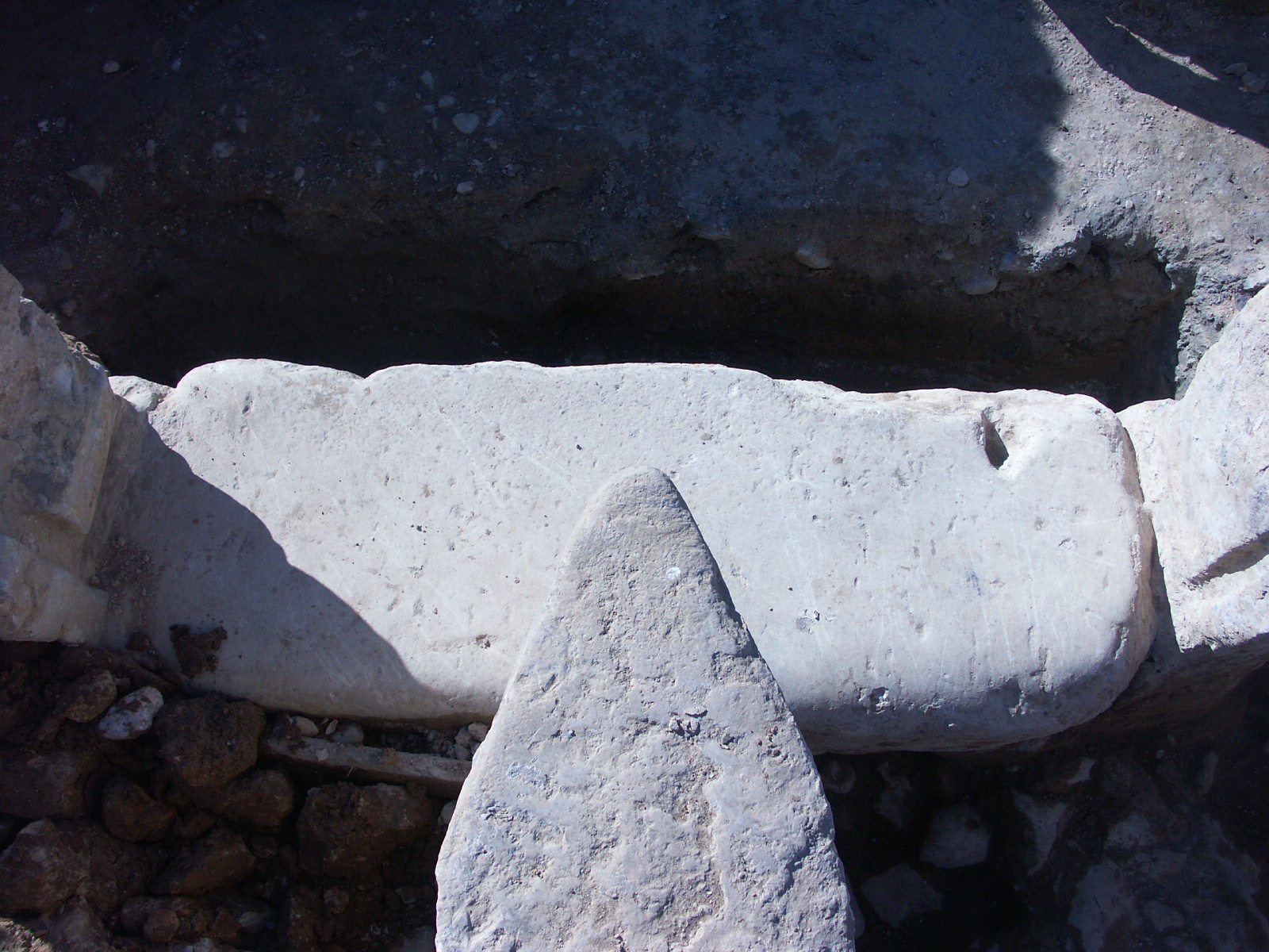 Llengües del Raig: Braç de Fernando i braç de Benicalap