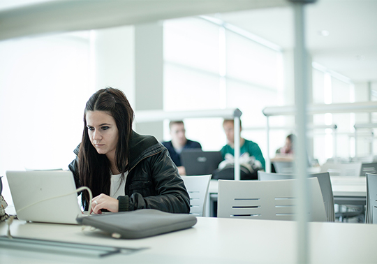 Student studying