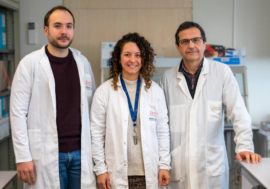 De izquierda a derecha: los investigadores de la Universitat de València Javier Poyatos García, Ariadna Bargiela y Rubén Artero.