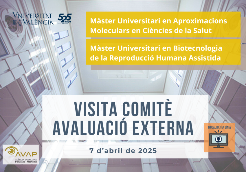Imagen del evento:Visita Comité Evaluación Externa