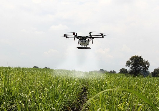 Drone fumigando cultivos