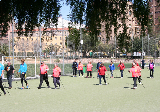 Programa de actividades