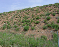 Representative picture of the project