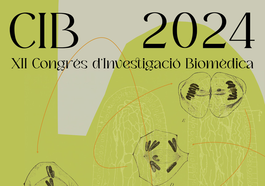 CIB 2024