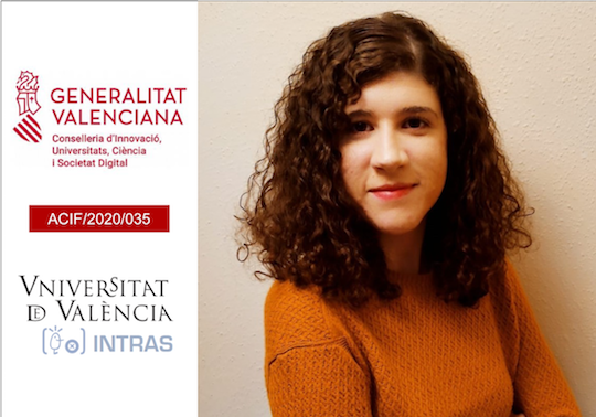 Mireia Faus