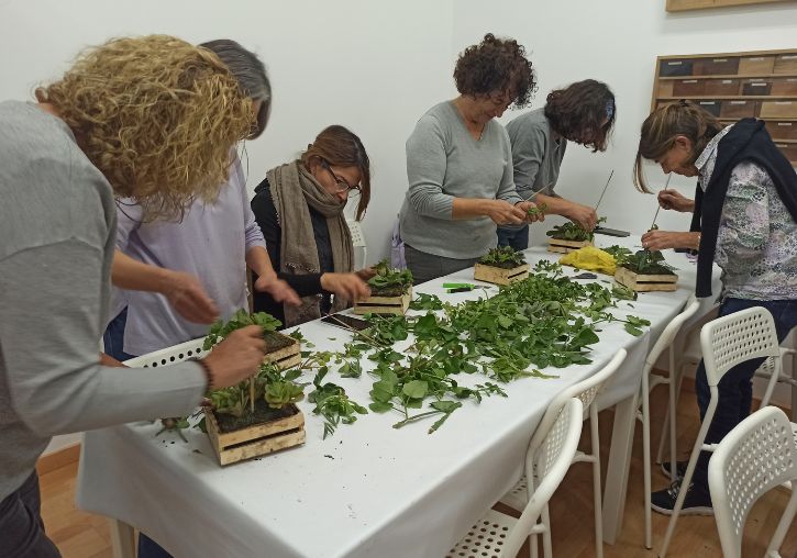 Cuadros Vivos. Jardinería Vertical (20/11/25)