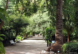 Botánico