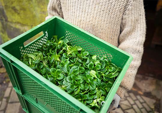 INNOTRANSFER AGRICULTURA DE PRECISIÓ: Reptes i solucions en tecnologies avançades aplicades a l'agricultura