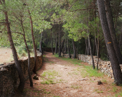Representative picture of the project
