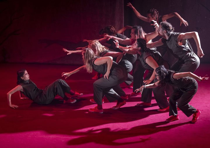 A still of the Escena Erasmus show