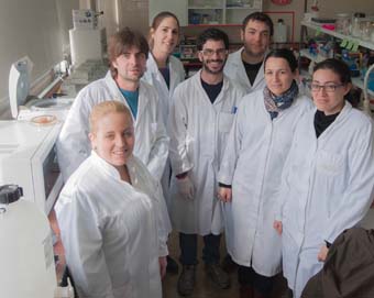 Salvador Herrero’s group.