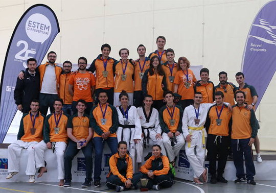 Els equips esportius