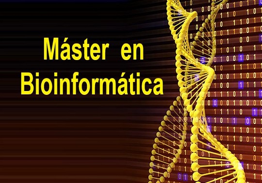 Successful pre-enrolment in the UV Master’s Degree in Bioinformatics