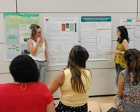 Imatge representativa del projecte