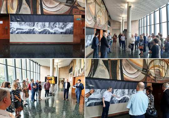 Exposición Cartoteca