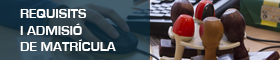 Requisits matricula
