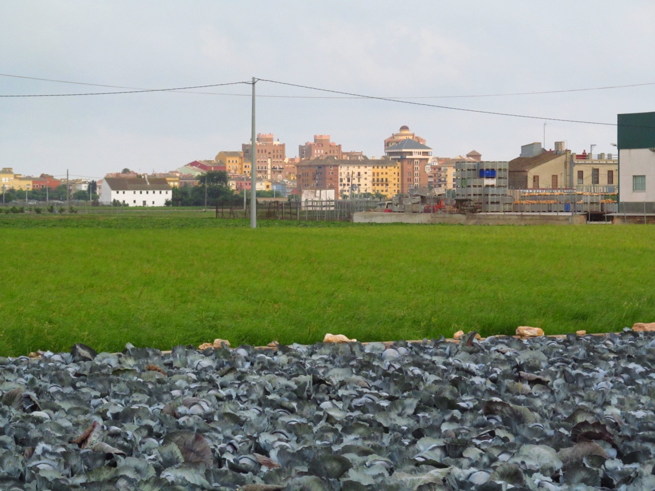 Foto de l'Horta