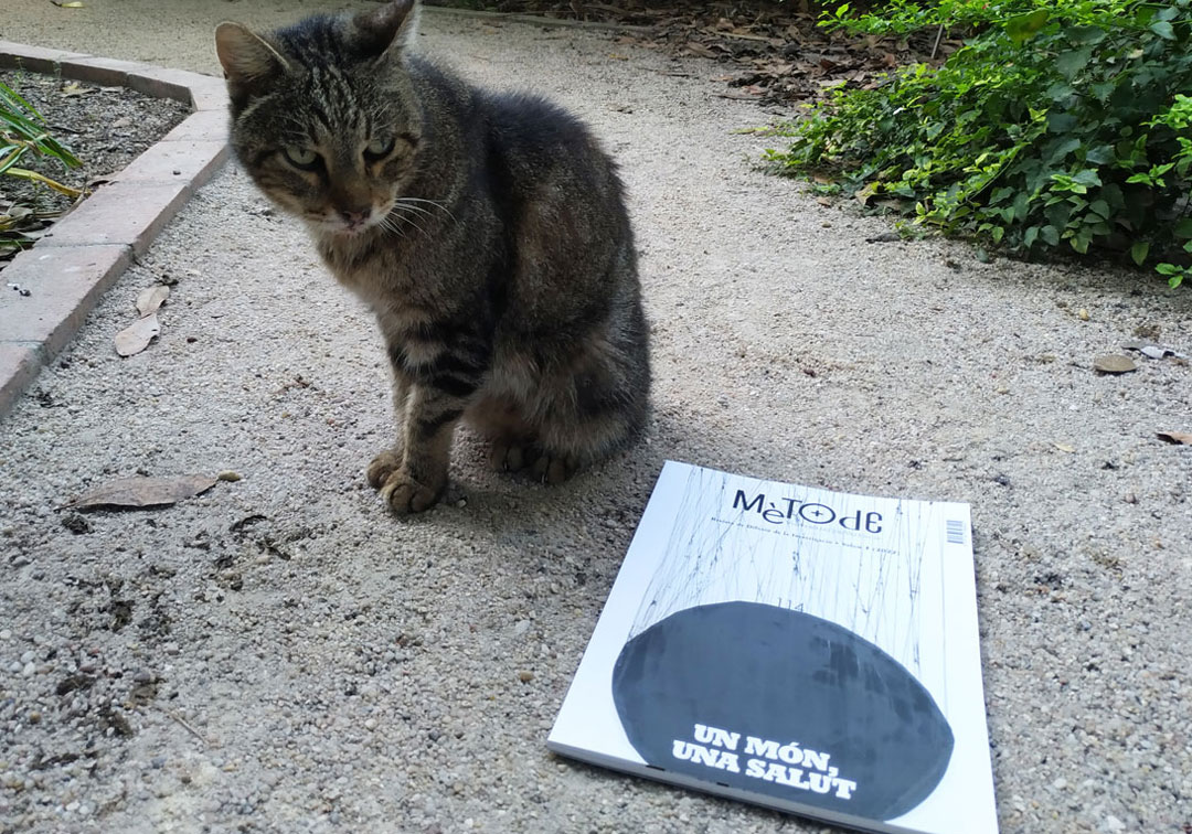 A cat and the Mètode journal