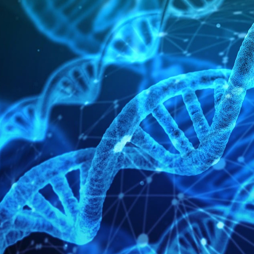 Máster de Formación Permanente en Enfermadades Raras