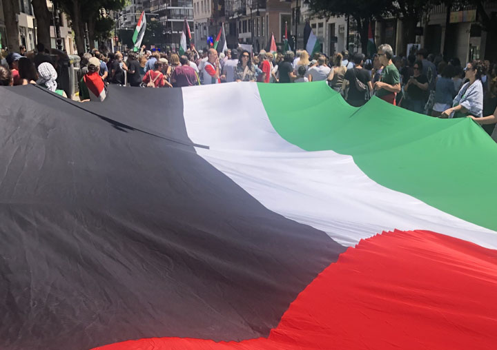 Image of a protest for Palestine.