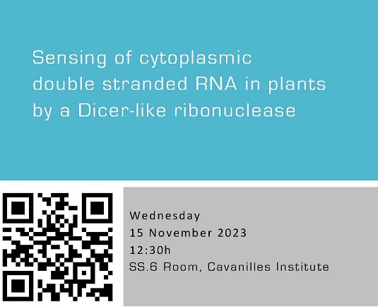 Sensing of cytoplasmic double stranded RNA in plants by a Dicer-like ribonuclease