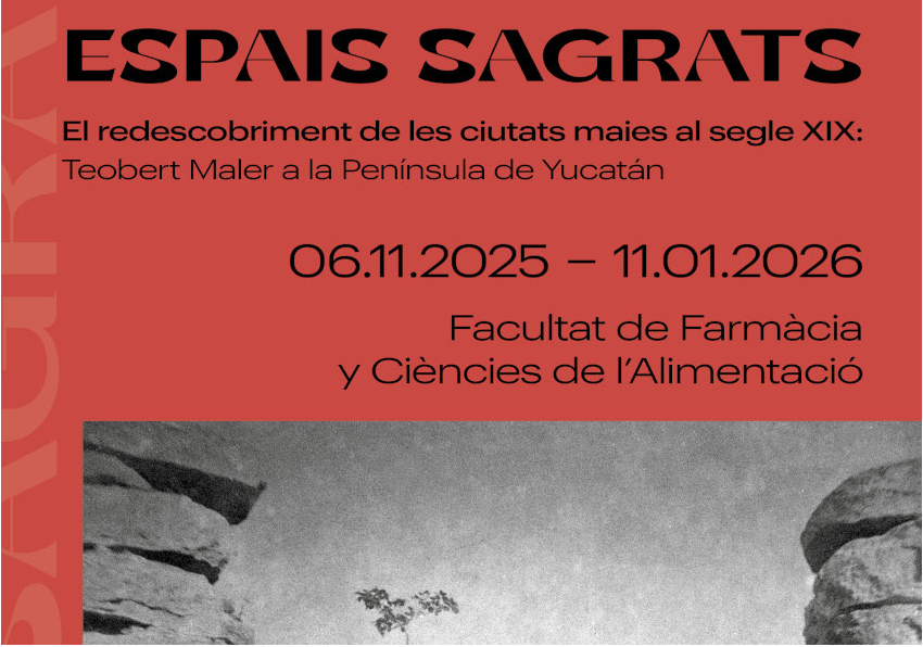 Imatge de construcció maia