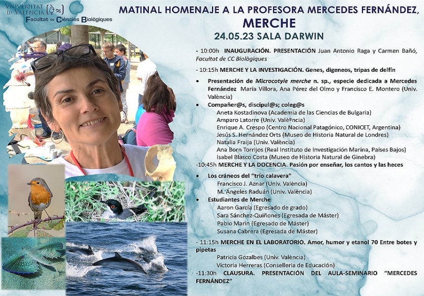 imatge de la noticia