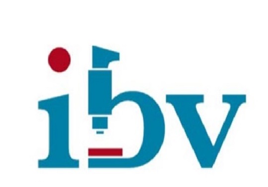logo ibv