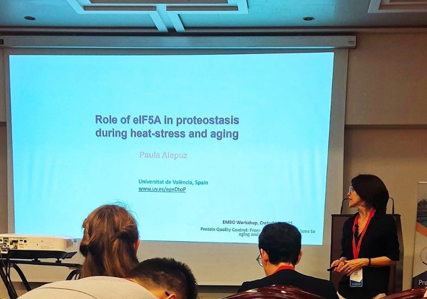 EMBO Workshop sobre Control de Qualitat de Proteïnes a Grècia