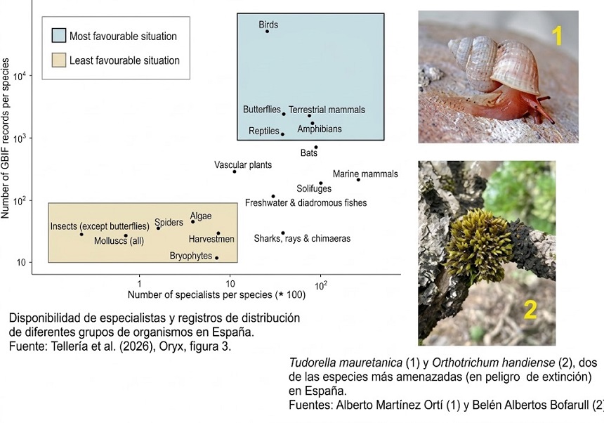 Un estudio con participación de investigadores de la Facultat de Cìencies Biològiques de la Universitat de València alerta de las lagunas en el conocimiento de la biodiversidad española