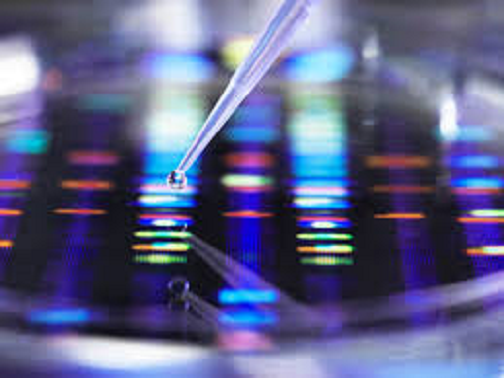 Representative picture of the project