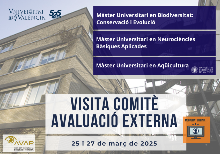 Imagen del evento:Visita comité evaluación externa