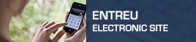 Entreu Electronic Site