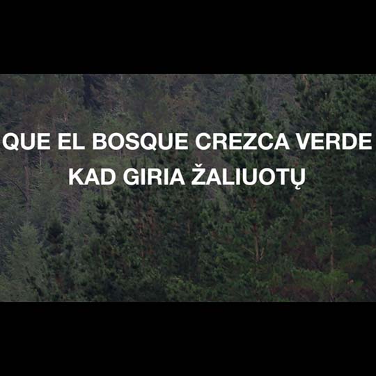 Foto bosque