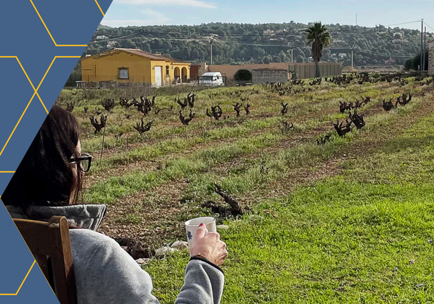 Image of the report. Tourist in a rural environment