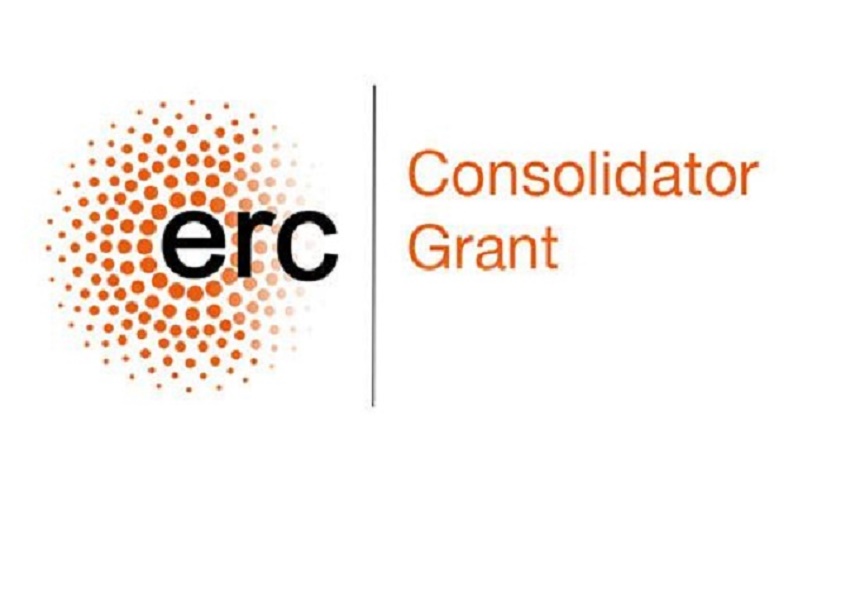 Convocatòria ERC Consolidator Grant 2024