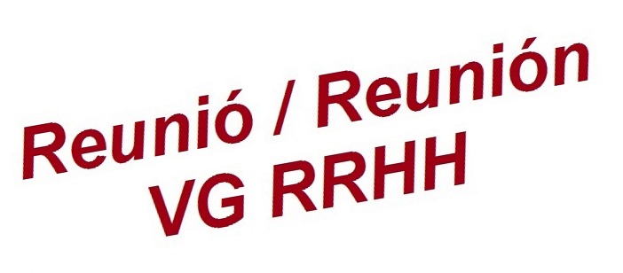 Reunió amb el Vicegerent de RRHH, 10 de juny de 2020