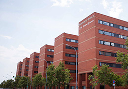 Campus de Tarongers