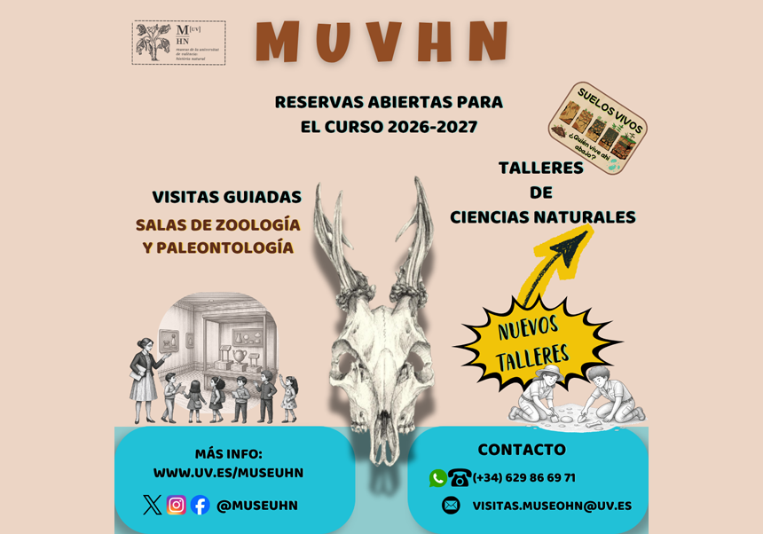 ¡Ya están aquí! Nuevos talleres para el próximo curso 2026-27