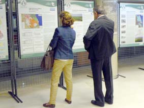 Expo a Alzira.
