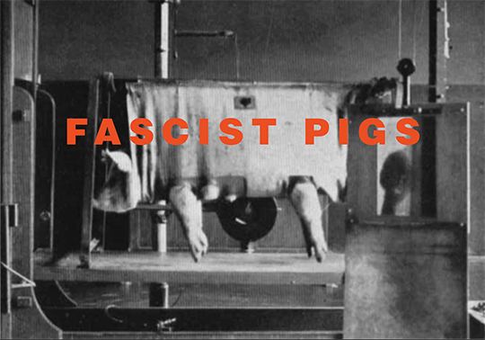 Cerdos fascistas