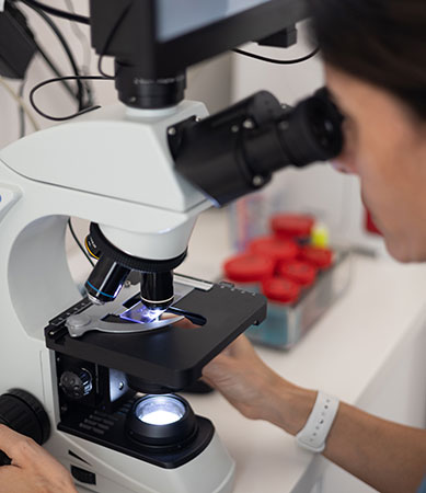 Imagen de microscopio