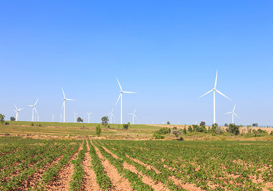 windmills