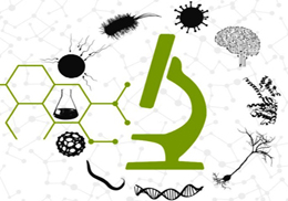 Estudiants del màster en bioinformàtica en el II Congrés Nacional Joves Investigadors en Biomedicina