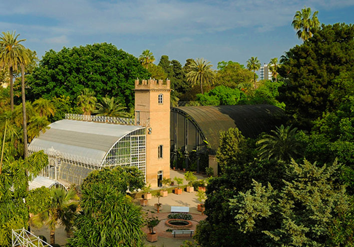 Vista general del Jardí Botànic.