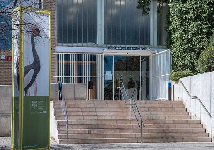 Entrada al Museu d'Historia Natural de la Universitat de València.