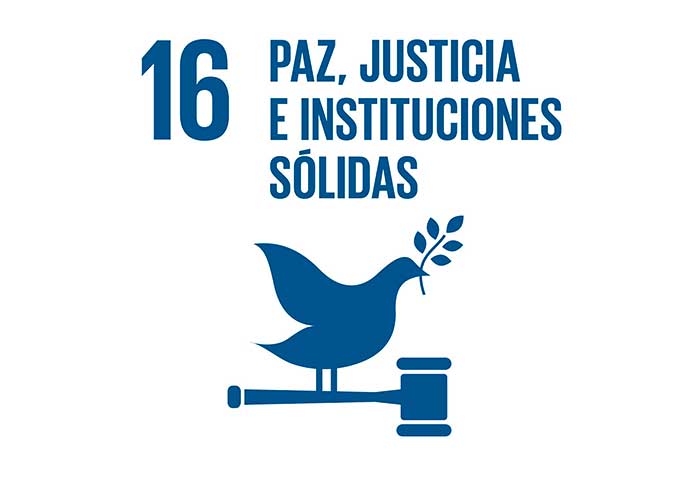 16 : Peace, Justice and Solid institutions.