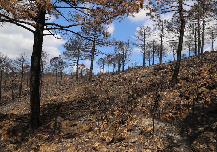 Incendi de Pinet de 2018 tres dies deprés d’apagat el foc. Les flames varen arrasar més de 3.000 hectàrees l’agost de 2018, de set municipis i tres comarques.