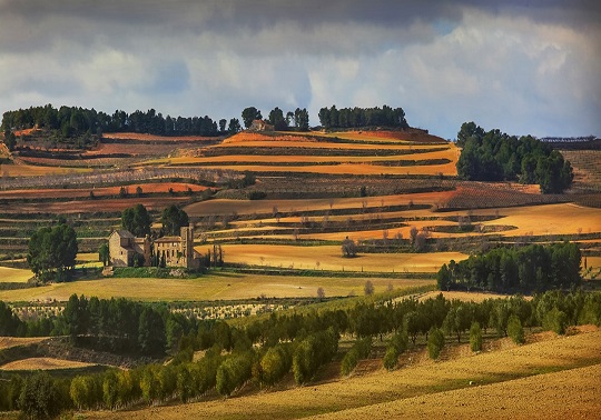 Vista de Els Alforins