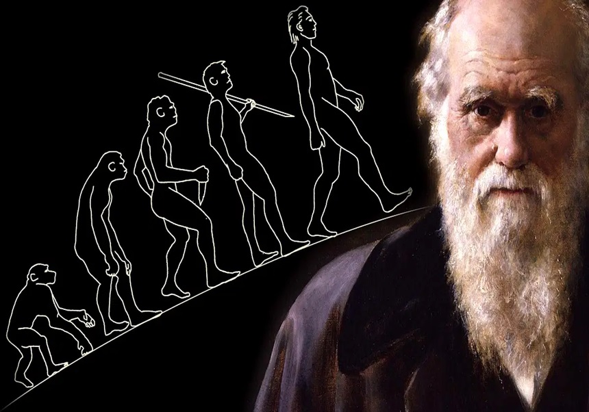XXVII Matinal de la evolución
